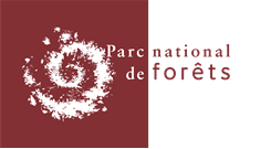 national forest park logo